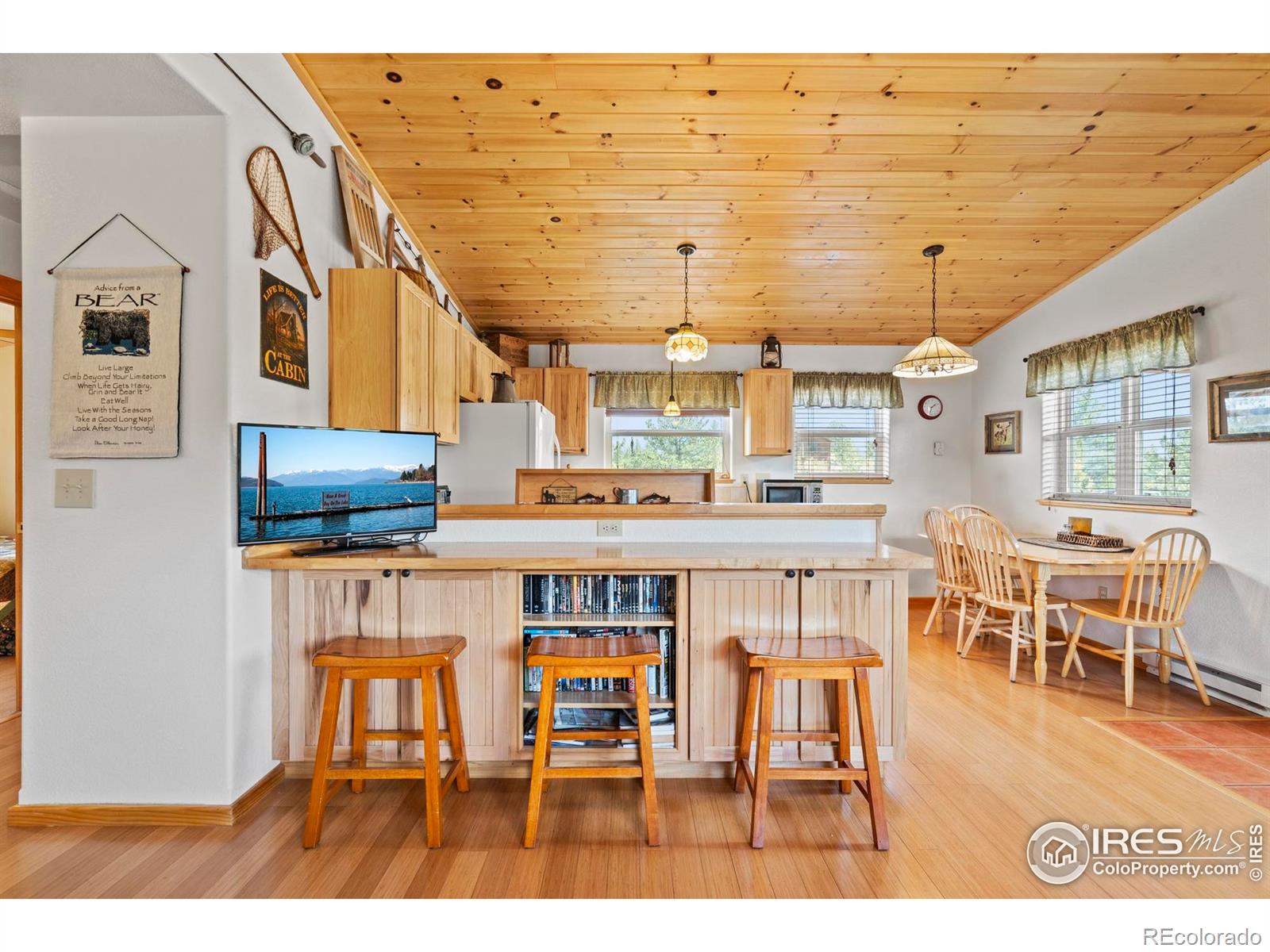 MLS Image #13 for 251  huron road,red feather lakes, Colorado