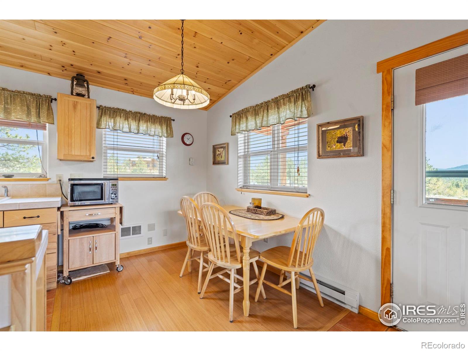 MLS Image #14 for 251  huron road,red feather lakes, Colorado
