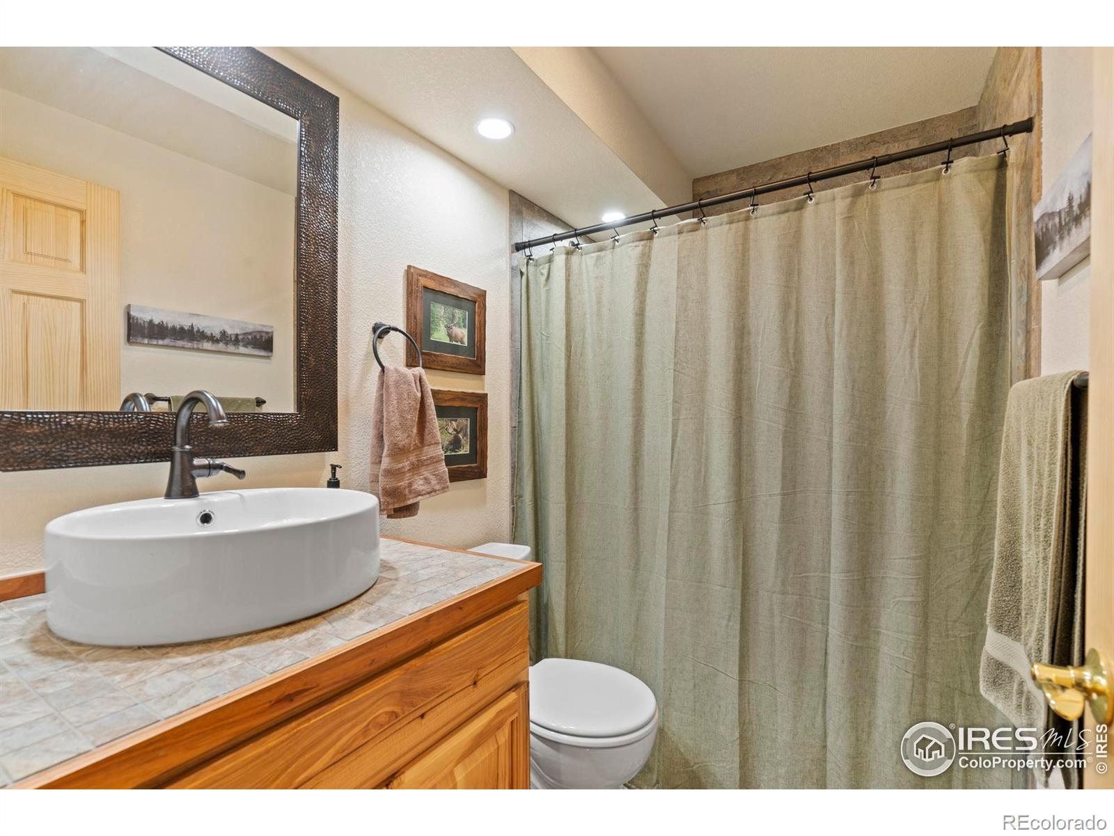 MLS Image #23 for 251  huron road,red feather lakes, Colorado