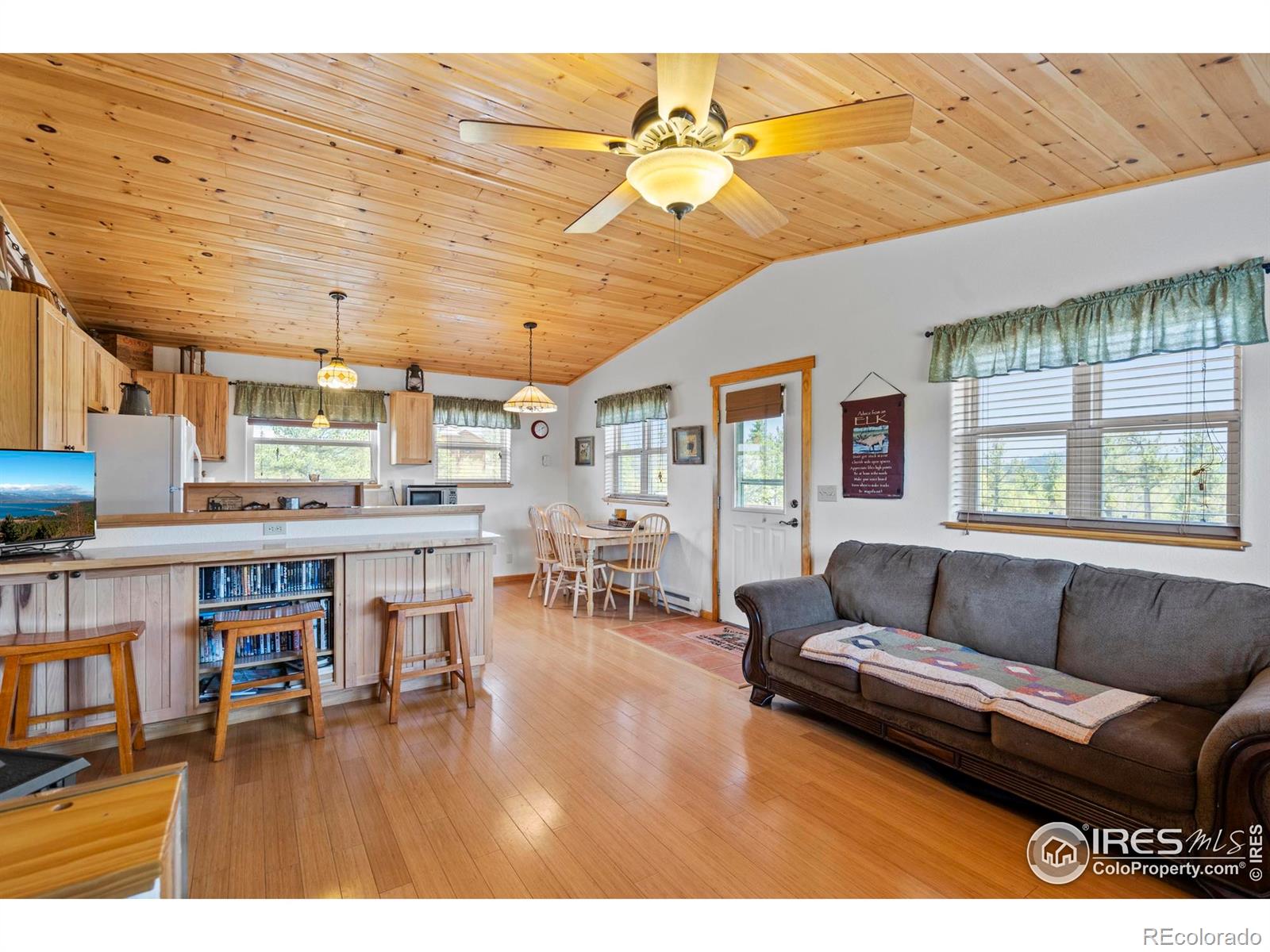MLS Image #7 for 251  huron road,red feather lakes, Colorado