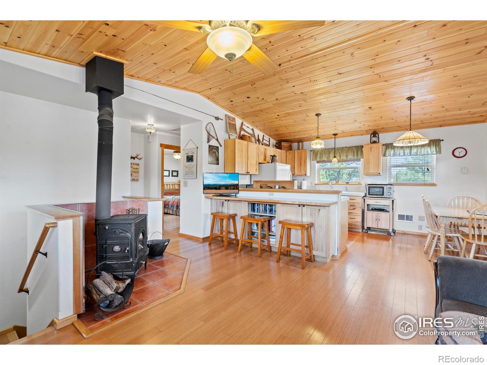 MLS Image #8 for 251  huron road,red feather lakes, Colorado