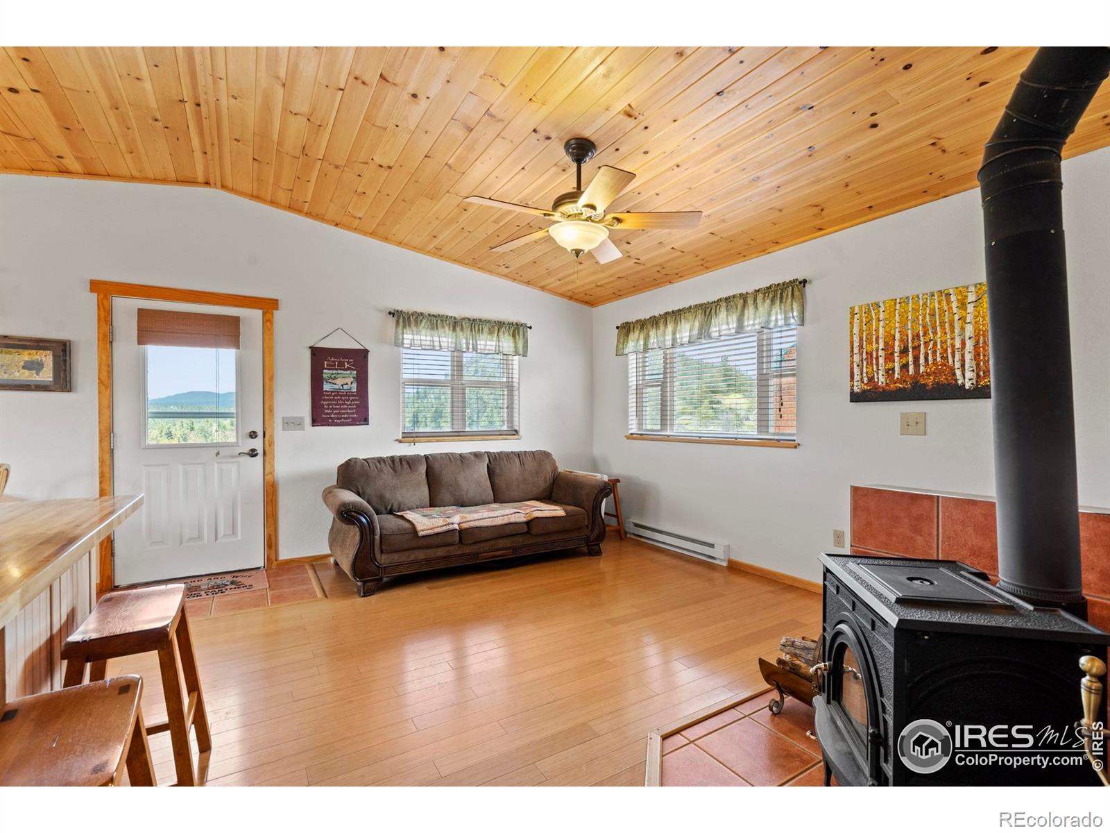 MLS Image #9 for 251  huron road,red feather lakes, Colorado