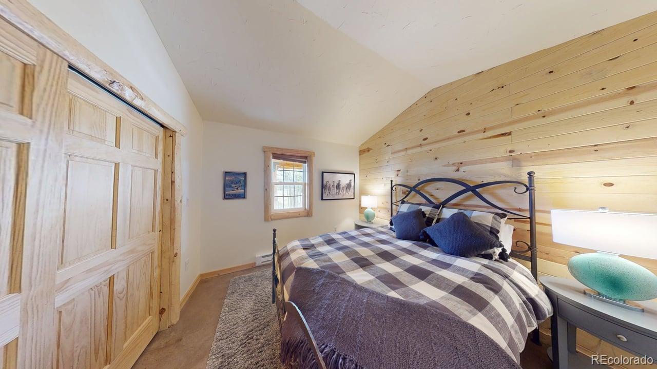 MLS Image #16 for 140  vine road,fairplay, Colorado