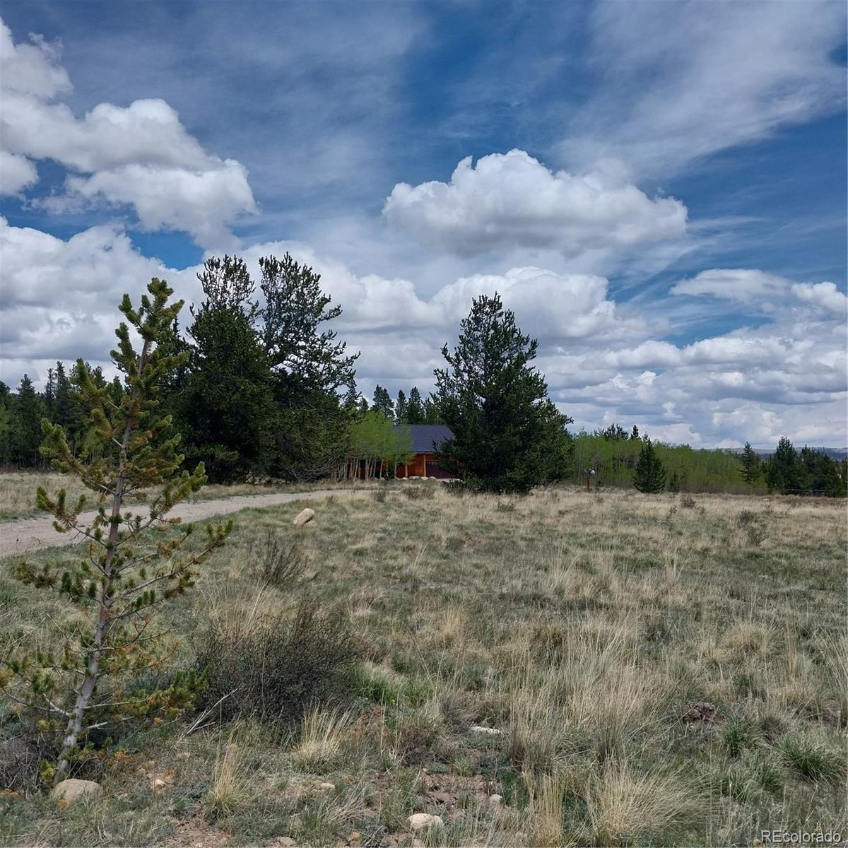 MLS Image #3 for 140  vine road,fairplay, Colorado