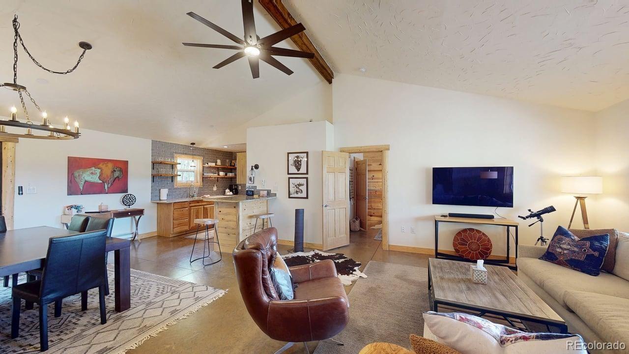 MLS Image #6 for 140  vine road,fairplay, Colorado