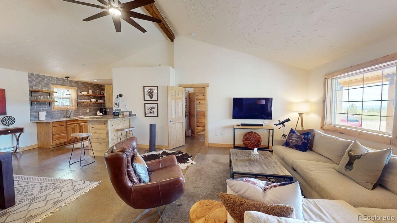 MLS Image #8 for 140  vine road,fairplay, Colorado