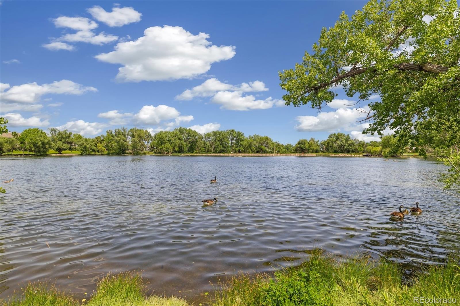 MLS Image #35 for 10380 w warren avenue,lakewood, Colorado