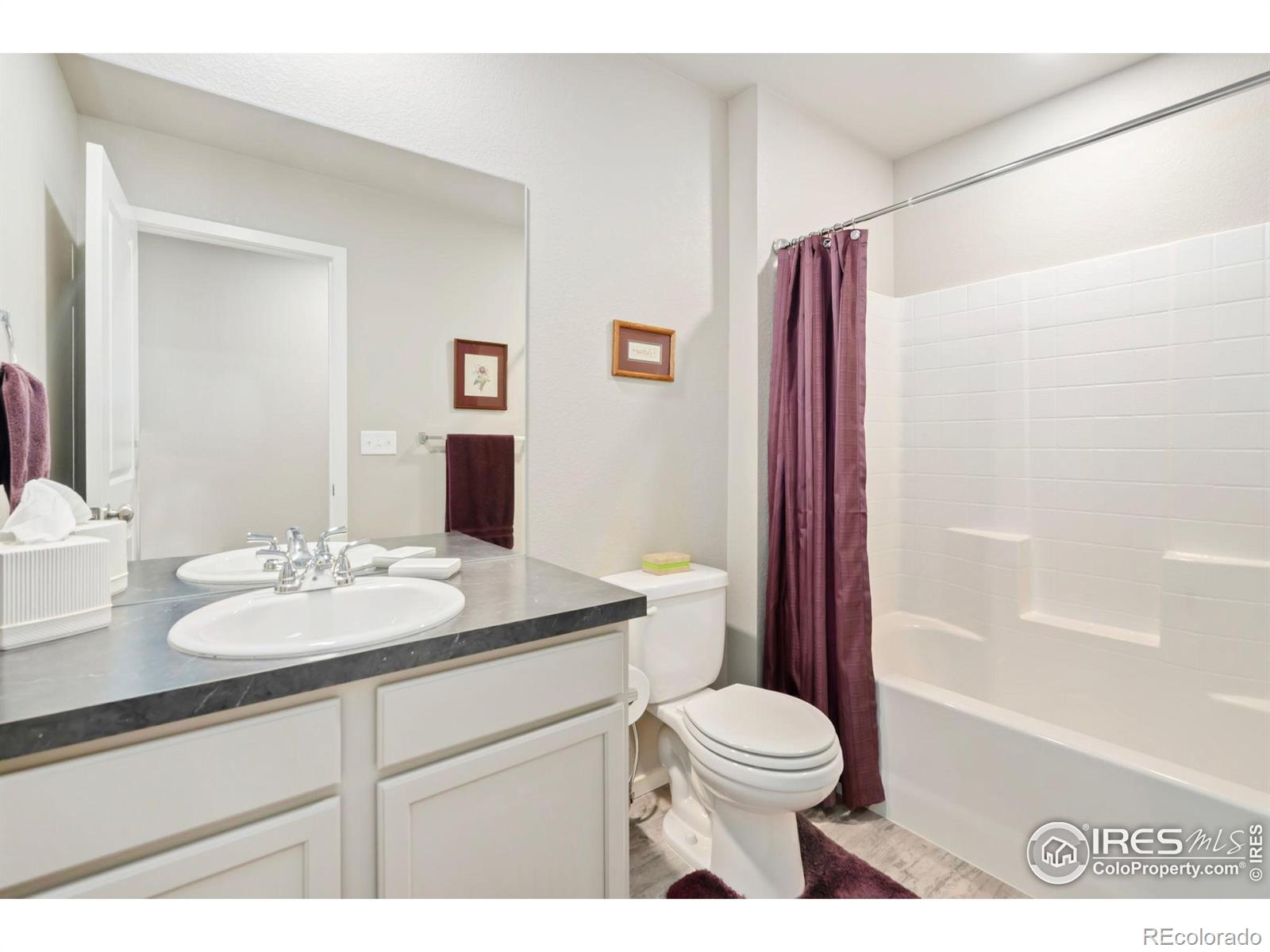 MLS Image #19 for 3603  ronald reagan avenue,wellington, Colorado