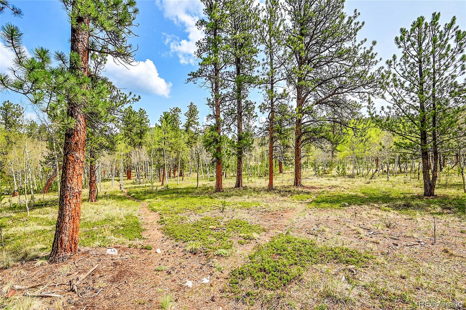 MLS Image #10 for 101  campbell road,bailey, Colorado