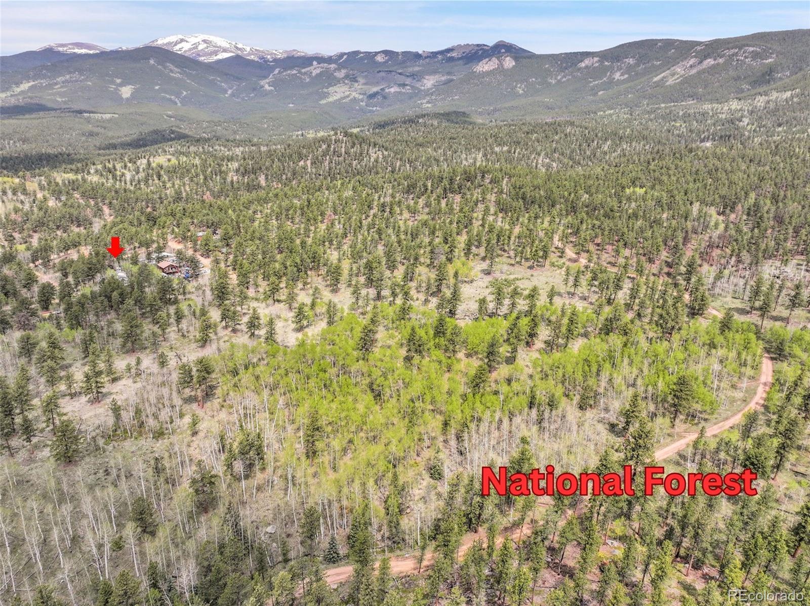MLS Image #11 for 101  campbell road,bailey, Colorado
