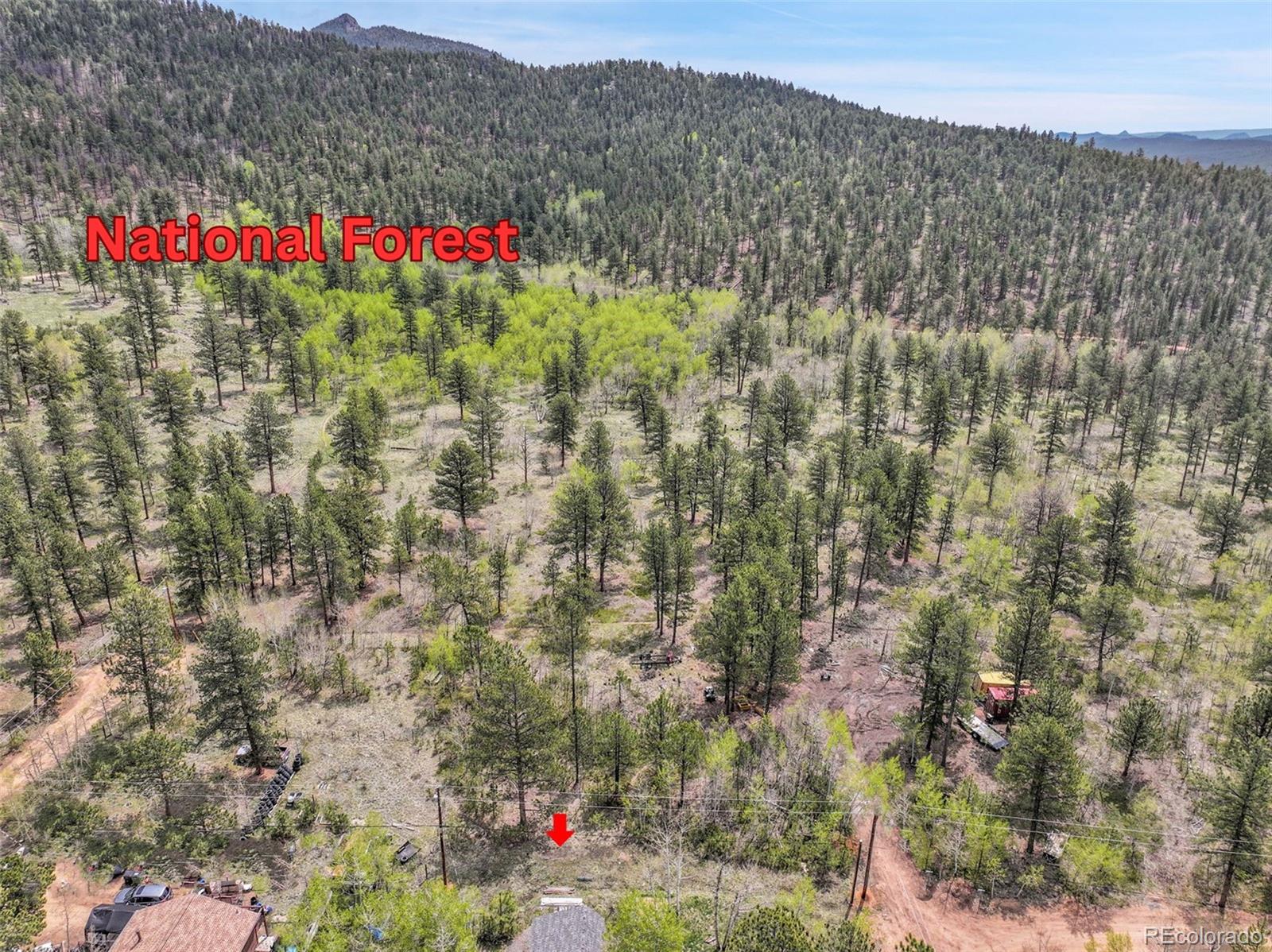 MLS Image #12 for 101  campbell road,bailey, Colorado