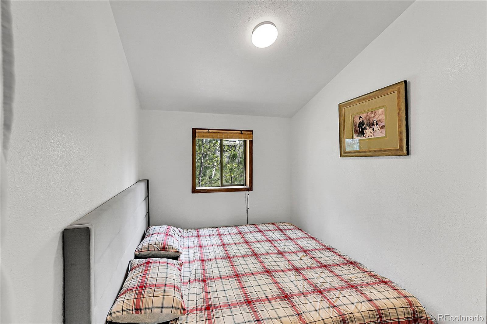 MLS Image #24 for 101  campbell road,bailey, Colorado