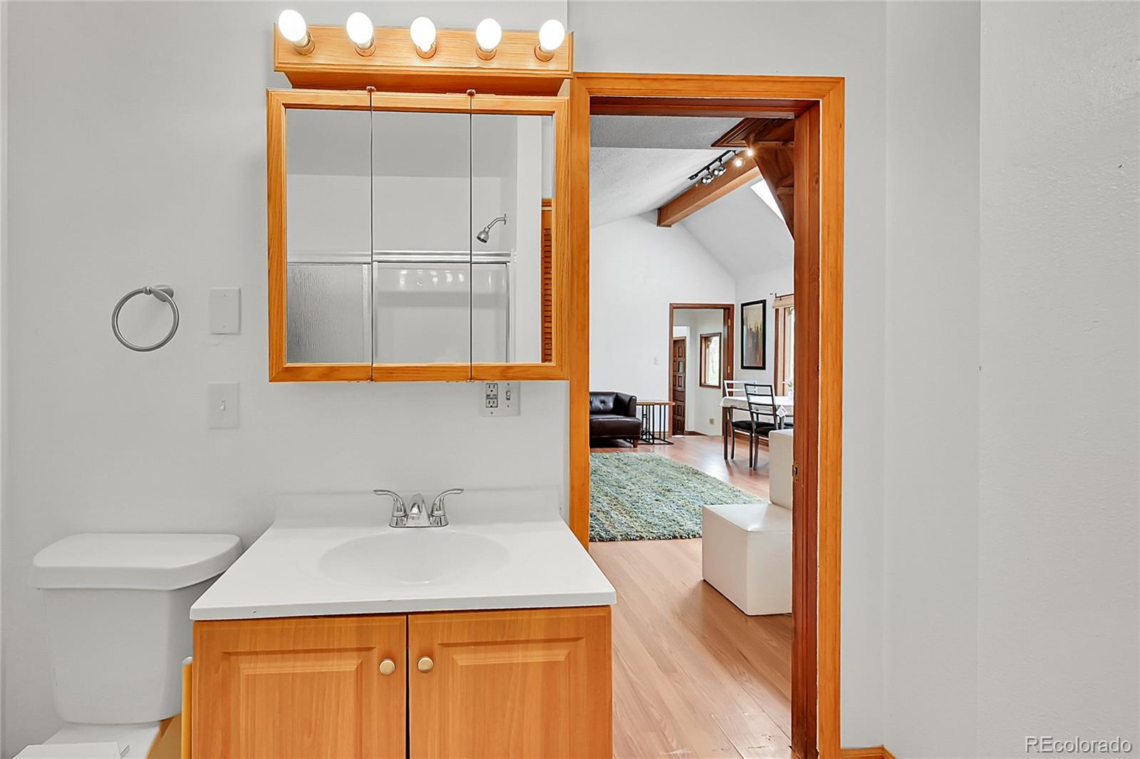 MLS Image #26 for 101  campbell road,bailey, Colorado