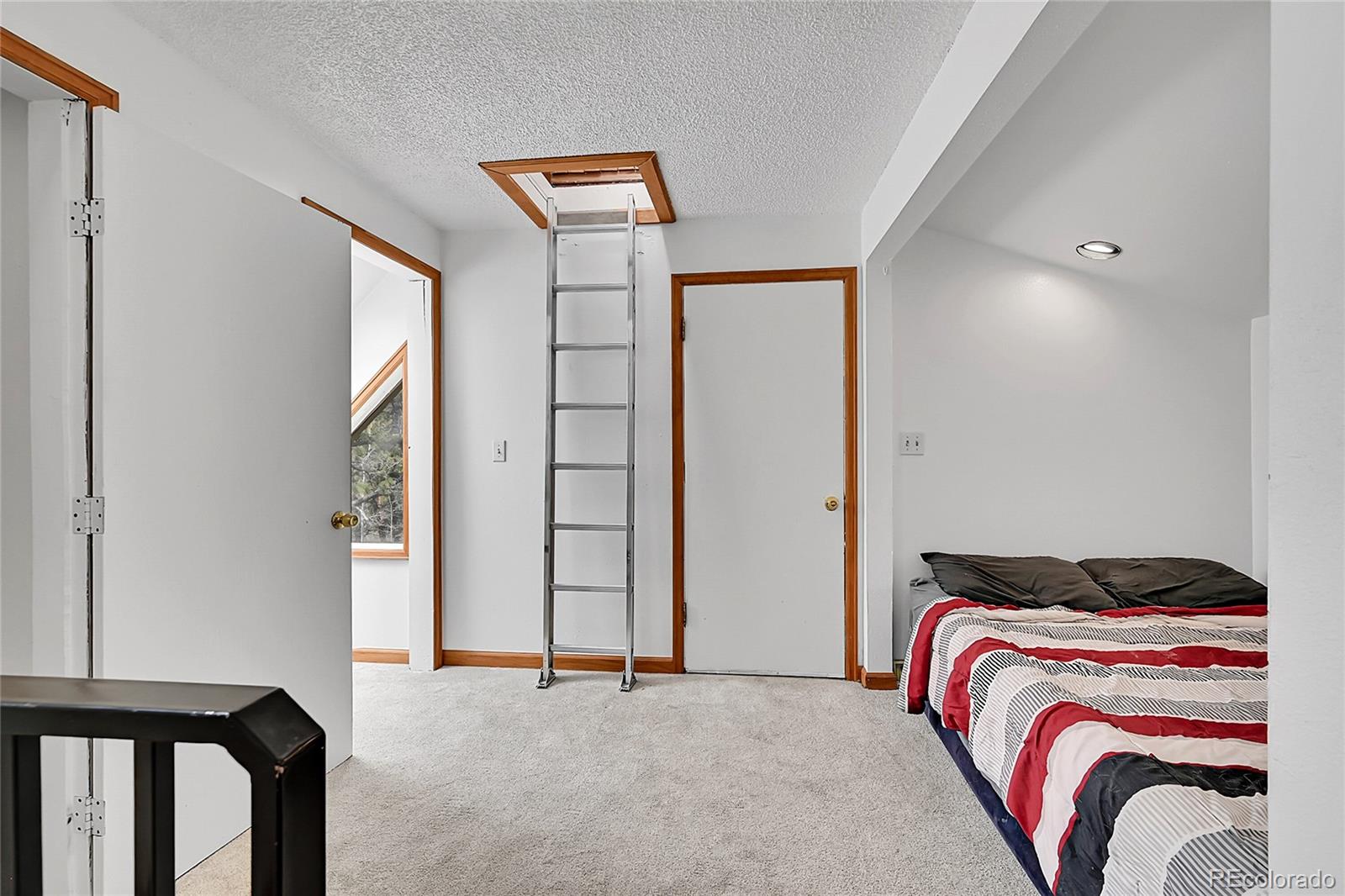 MLS Image #27 for 101  campbell road,bailey, Colorado