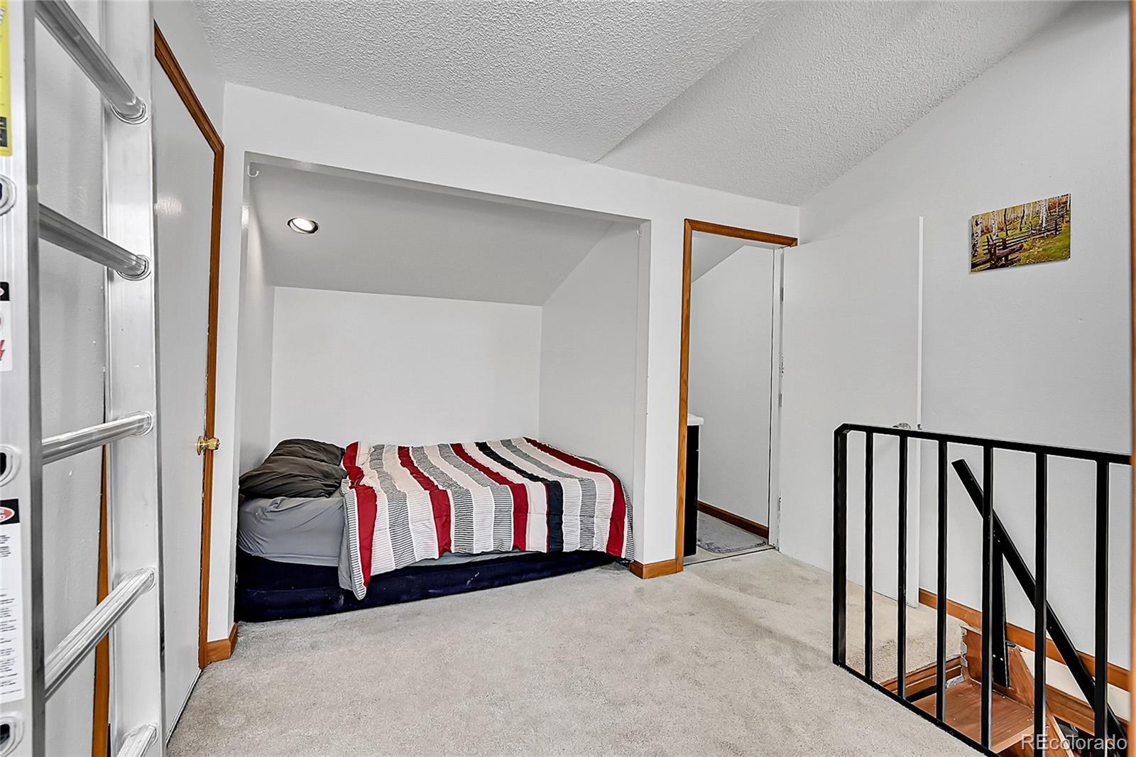 MLS Image #29 for 101  campbell road,bailey, Colorado