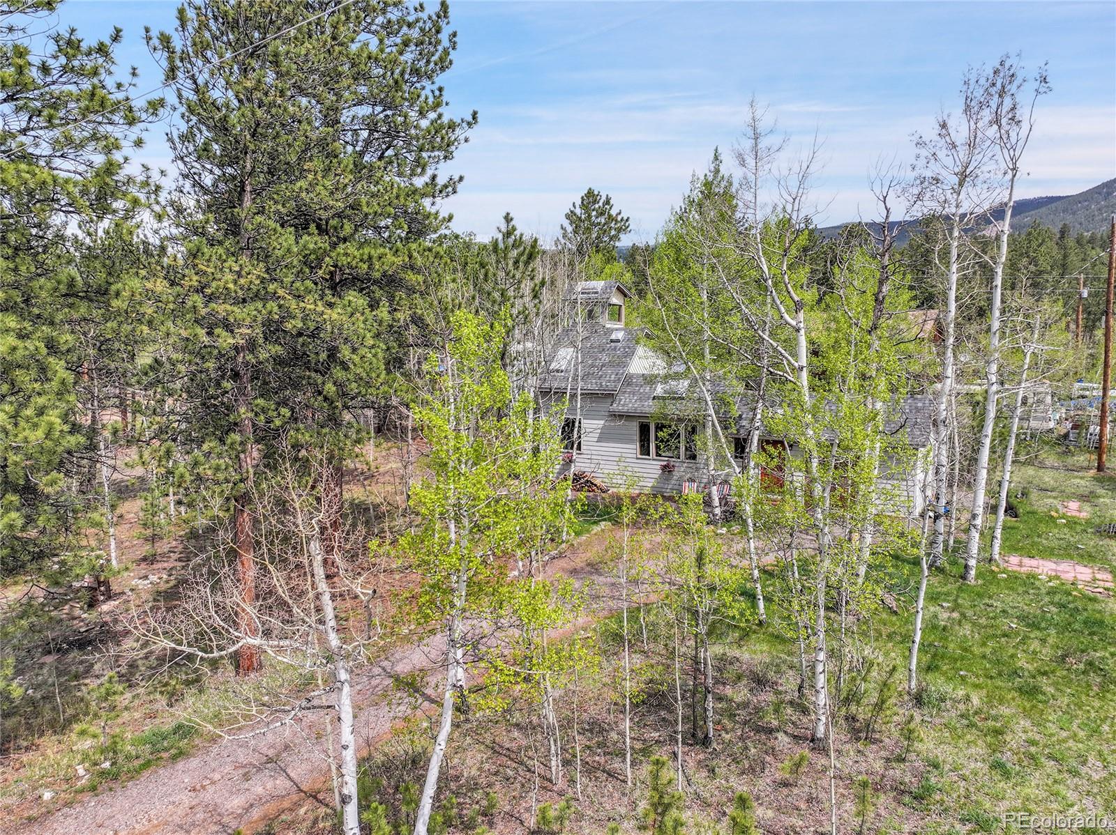MLS Image #3 for 101  campbell road,bailey, Colorado