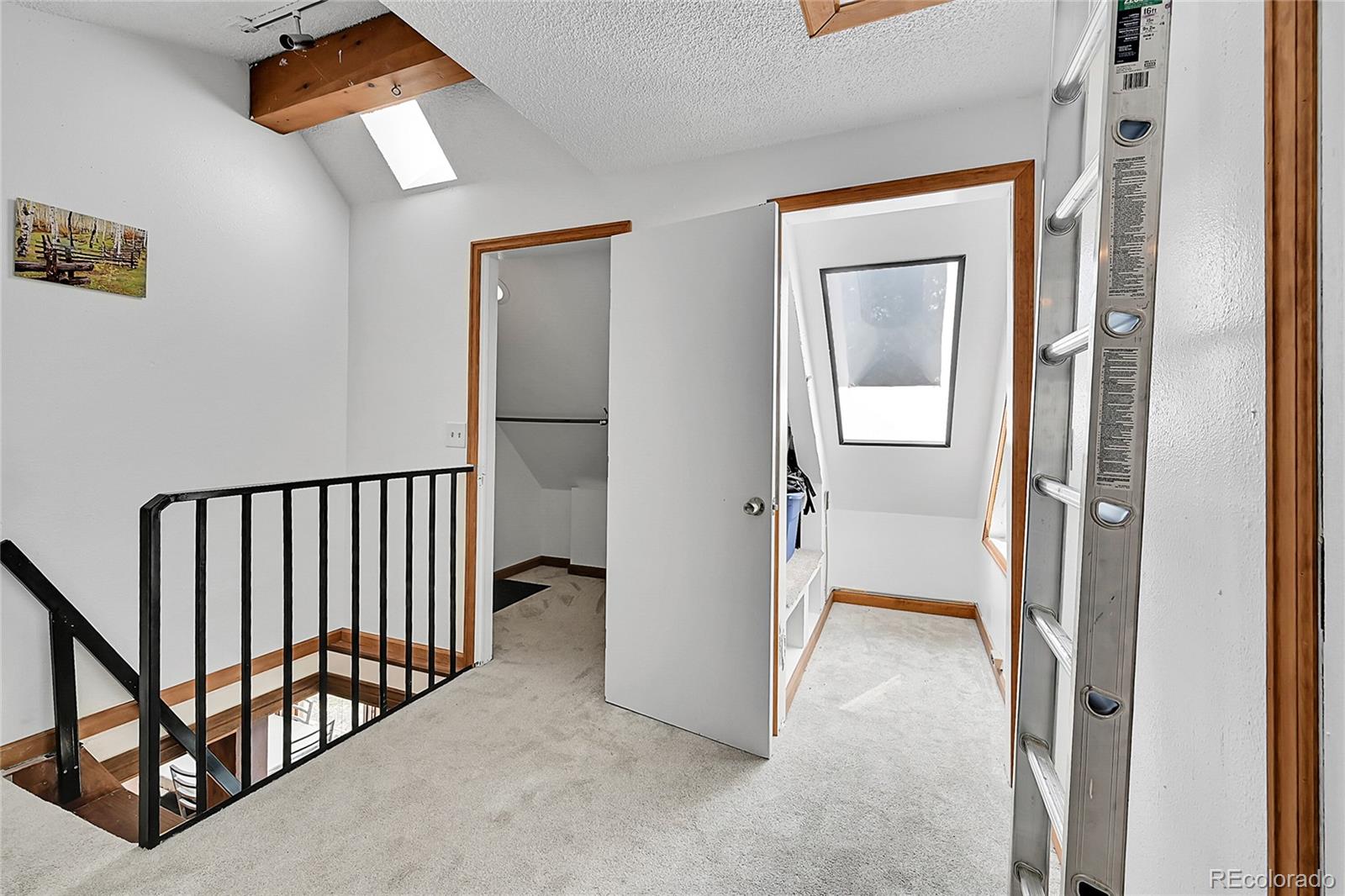 MLS Image #30 for 101  campbell road,bailey, Colorado