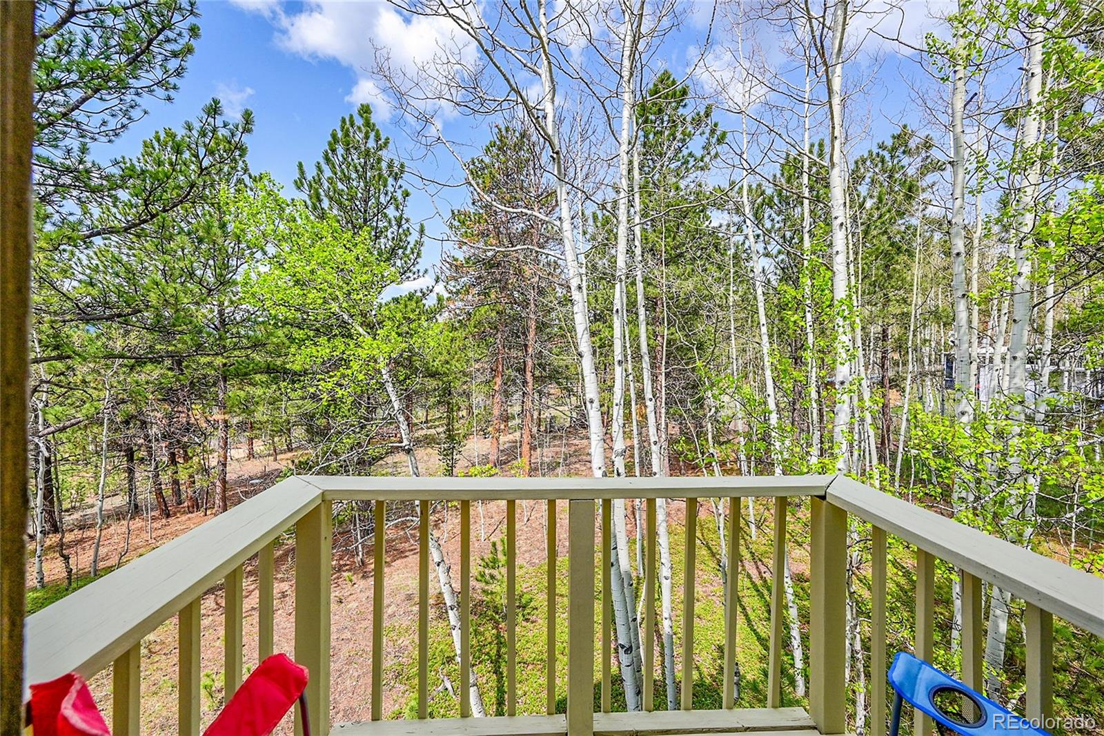 MLS Image #33 for 101  campbell road,bailey, Colorado