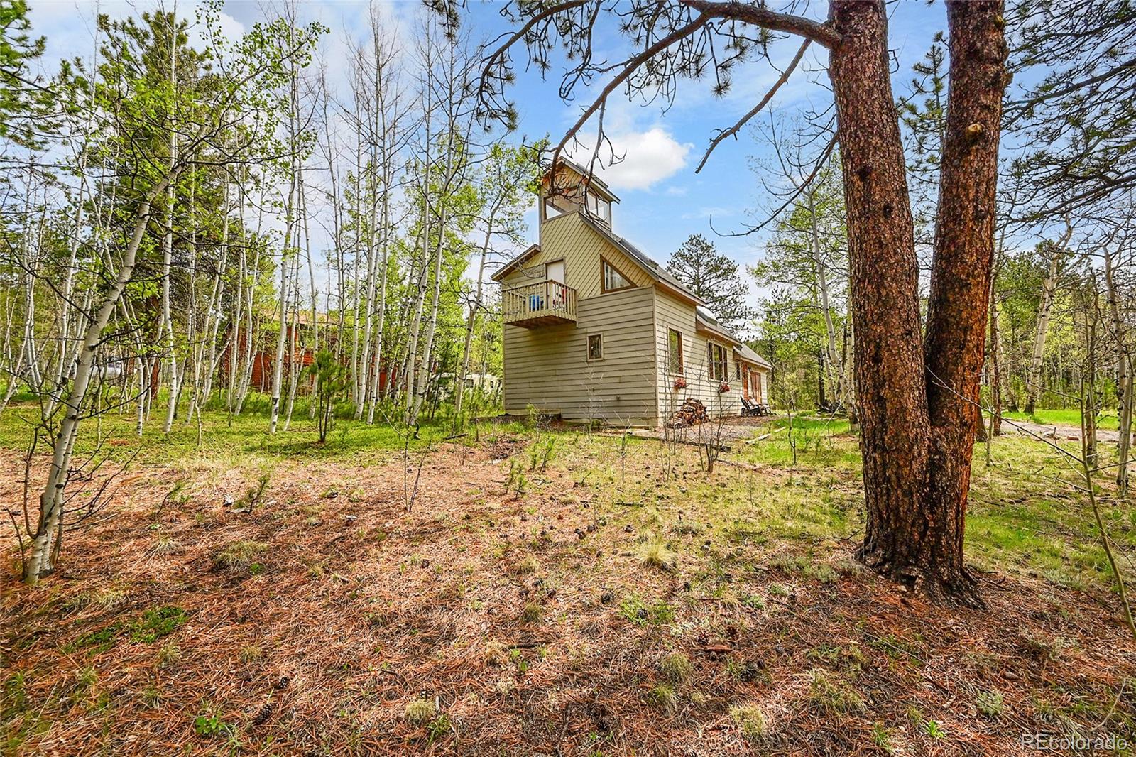 MLS Image #39 for 101  campbell road,bailey, Colorado