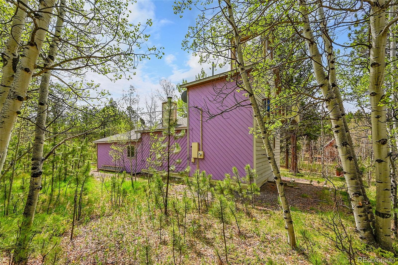 MLS Image #40 for 101  campbell road,bailey, Colorado