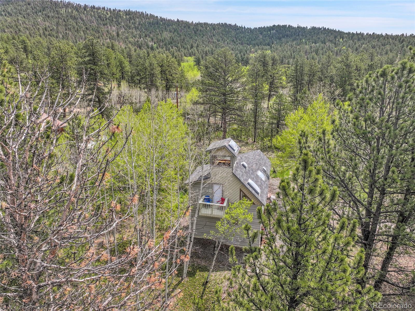 MLS Image #44 for 101  campbell road,bailey, Colorado