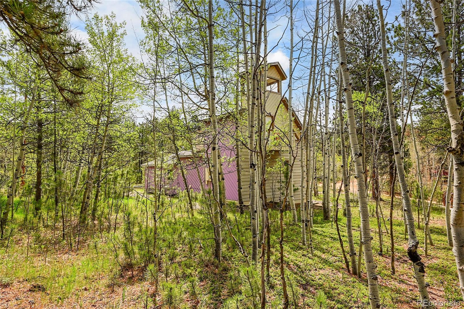 MLS Image #7 for 101  campbell road,bailey, Colorado