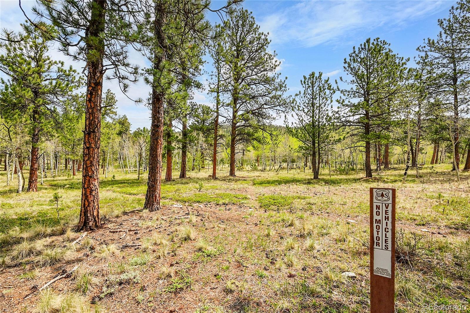 MLS Image #9 for 101  campbell road,bailey, Colorado