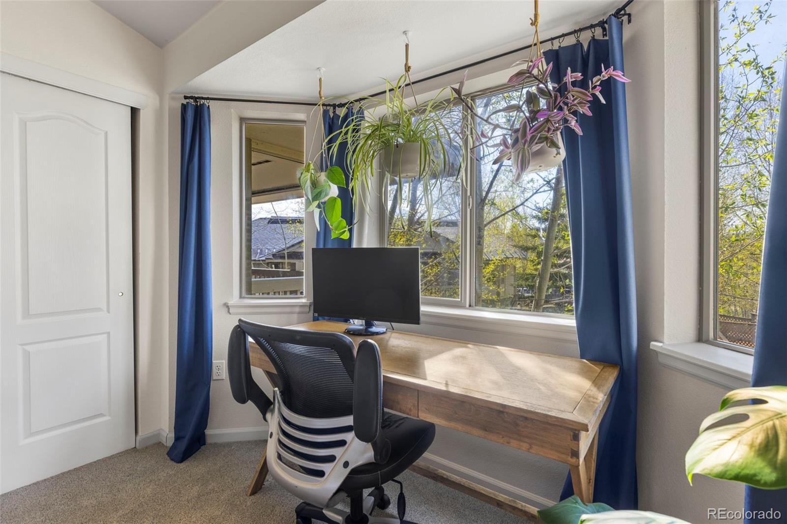 MLS Image #28 for 1501  point drive,frisco, Colorado