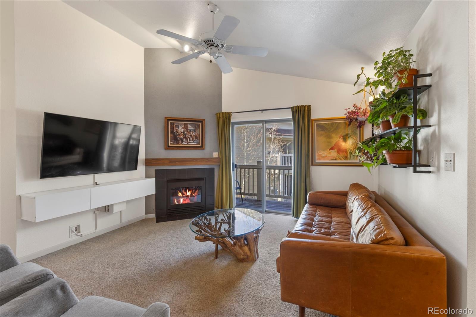 MLS Image #6 for 1501  point drive,frisco, Colorado