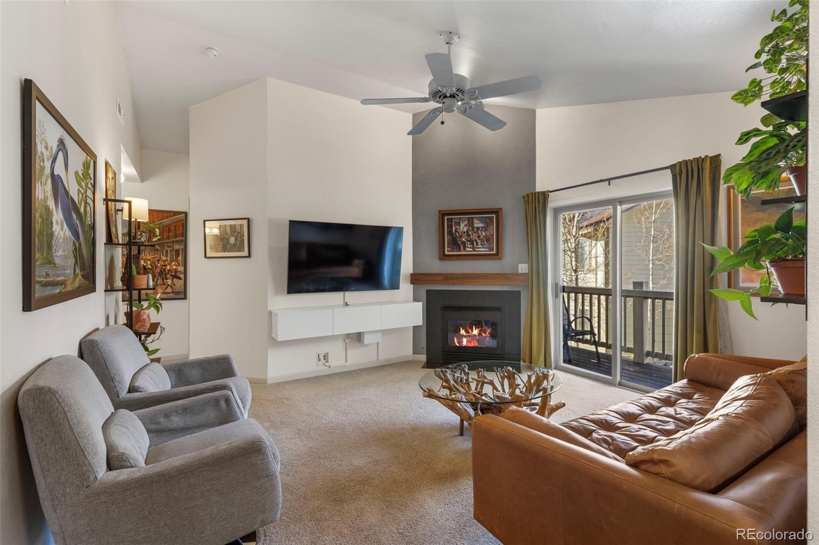 MLS Image #7 for 1501  point drive,frisco, Colorado
