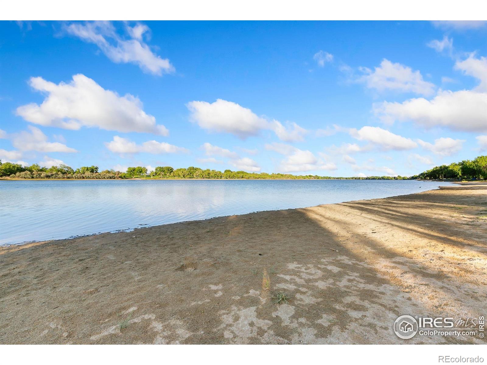 MLS Image #4 for 808  gregory road,fort collins, Colorado