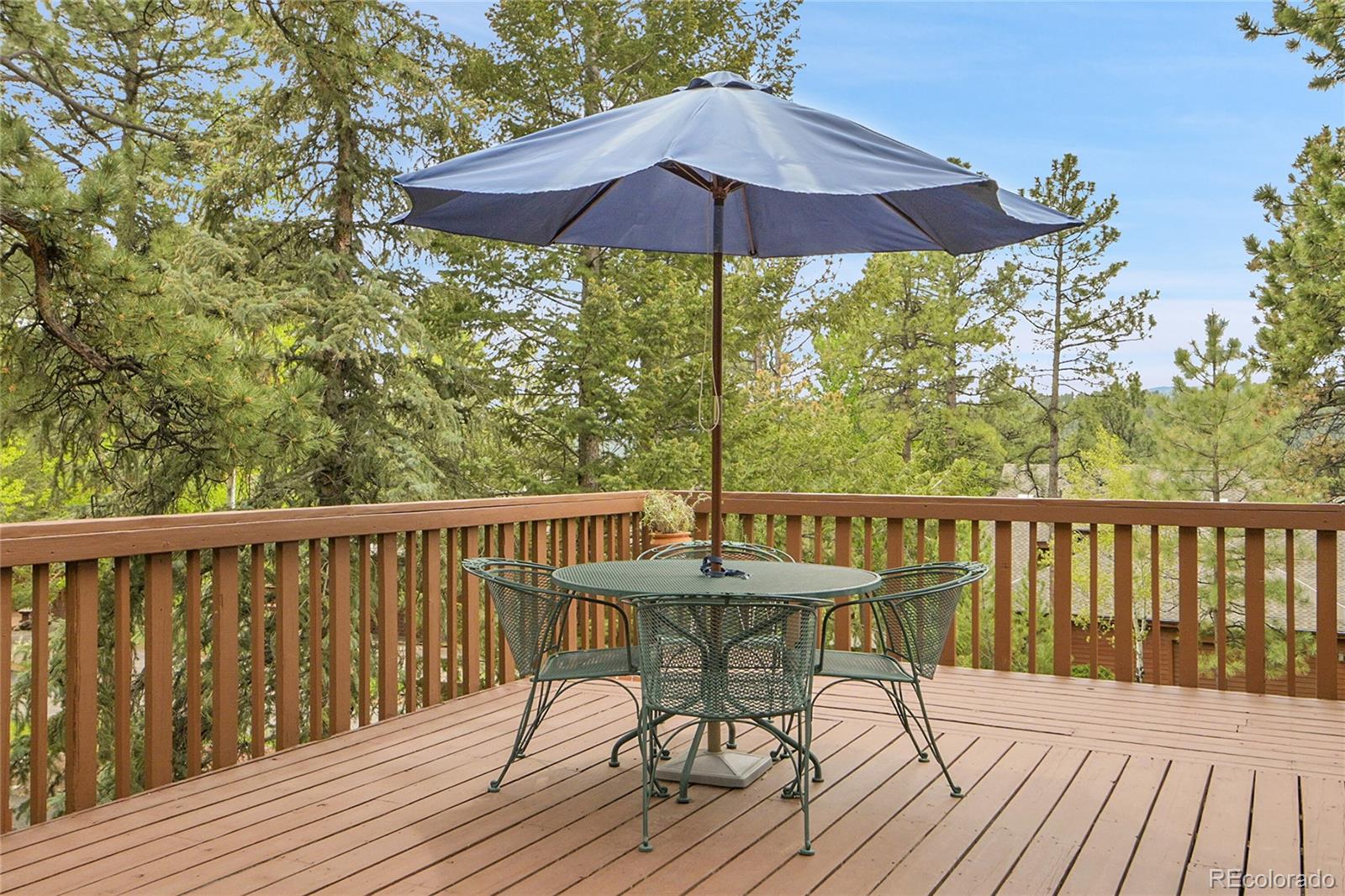 MLS Image #26 for 29857  park village drive,evergreen, Colorado