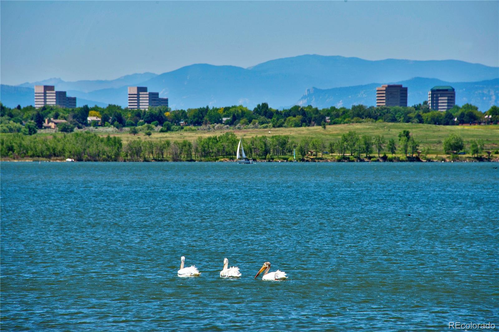 MLS Image #4 for 2155 s ider way,aurora, Colorado