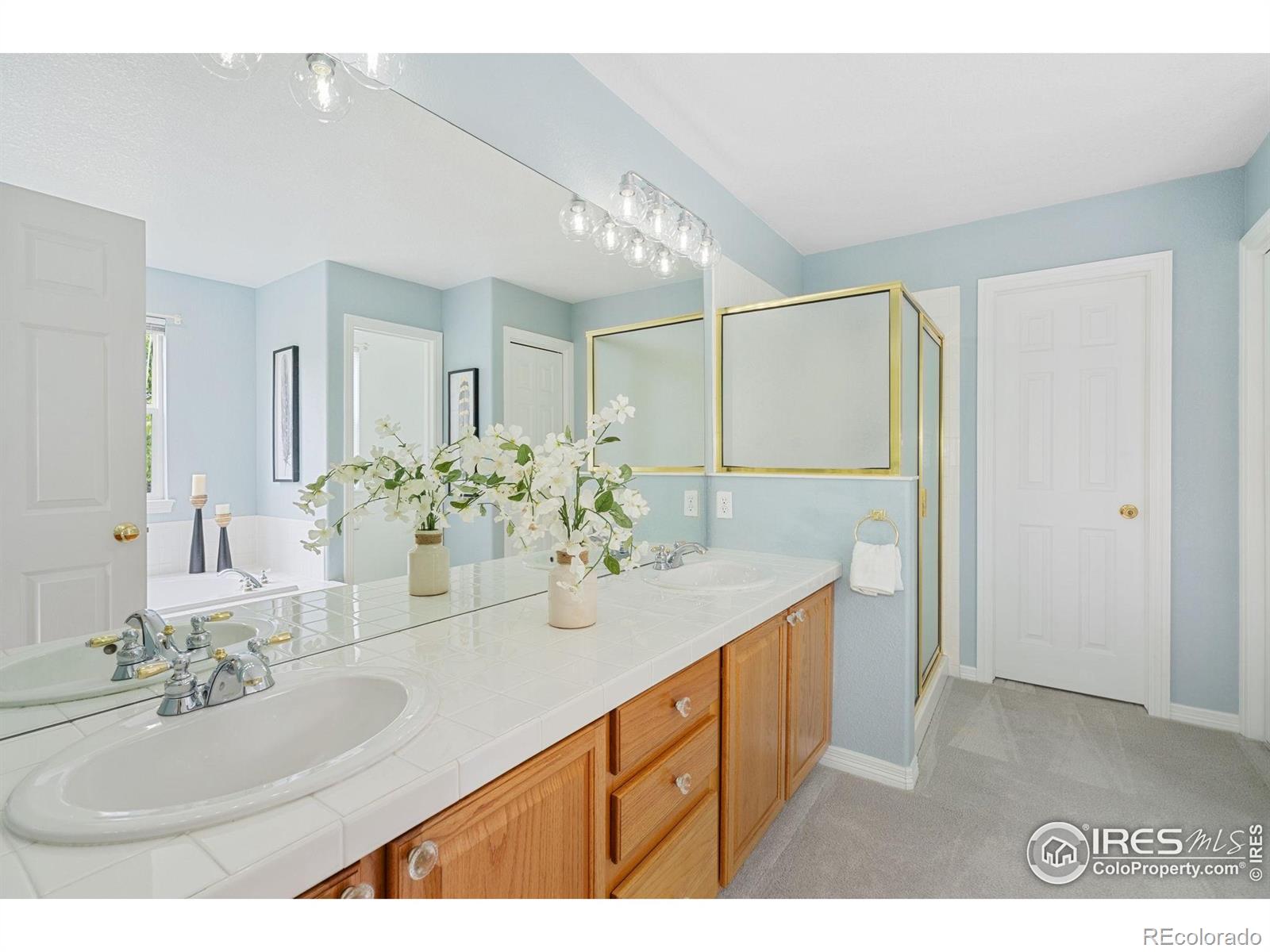 MLS Image #13 for 702  dearborn street,fort collins, Colorado