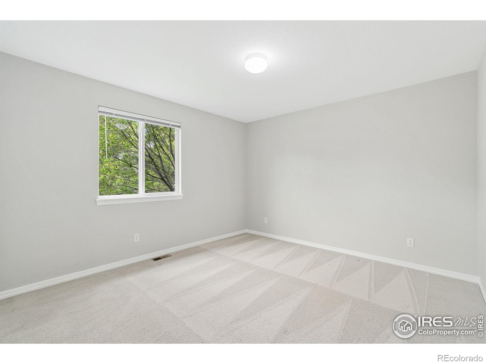 MLS Image #17 for 702  dearborn street,fort collins, Colorado