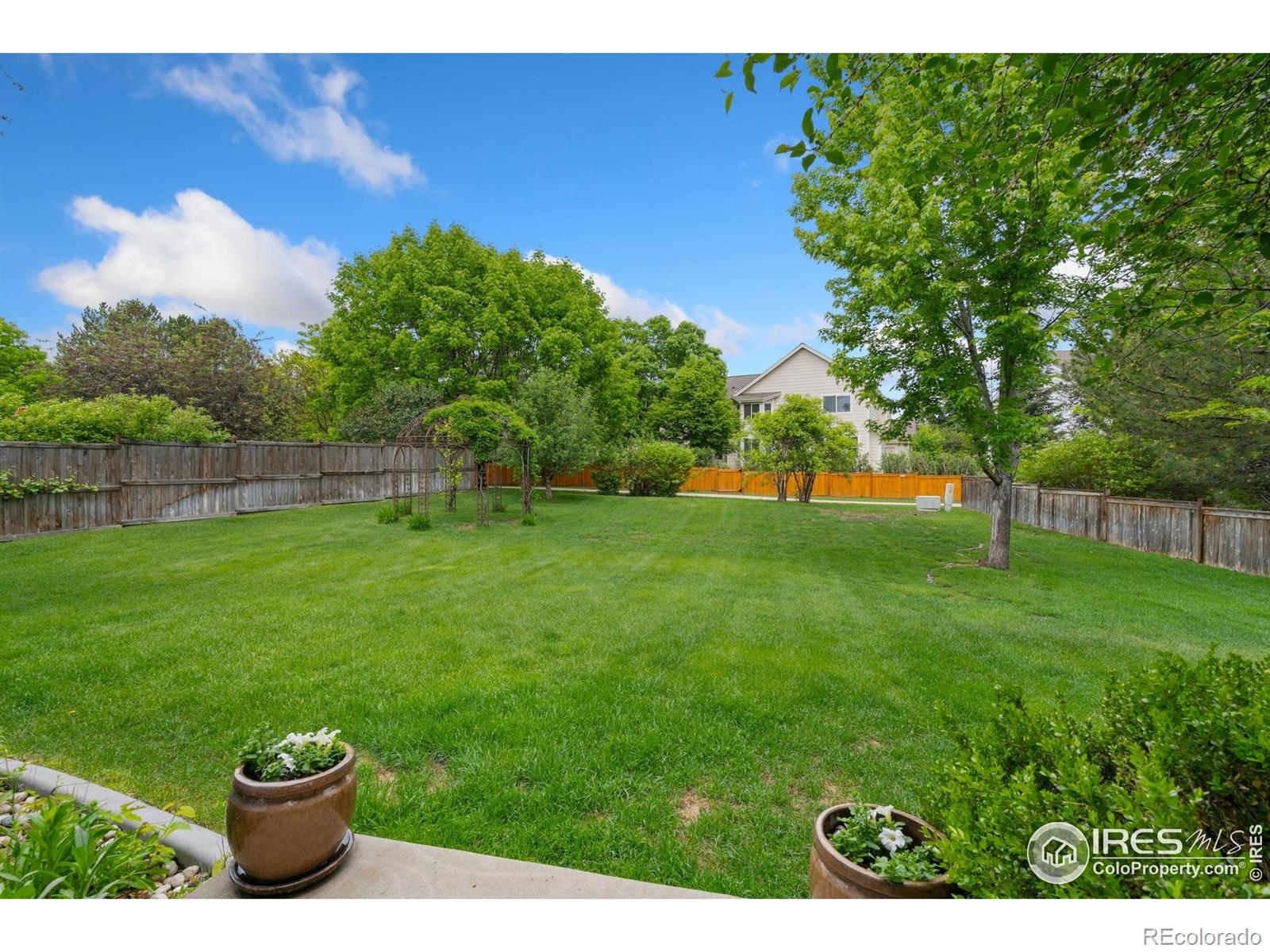 MLS Image #20 for 702  dearborn street,fort collins, Colorado
