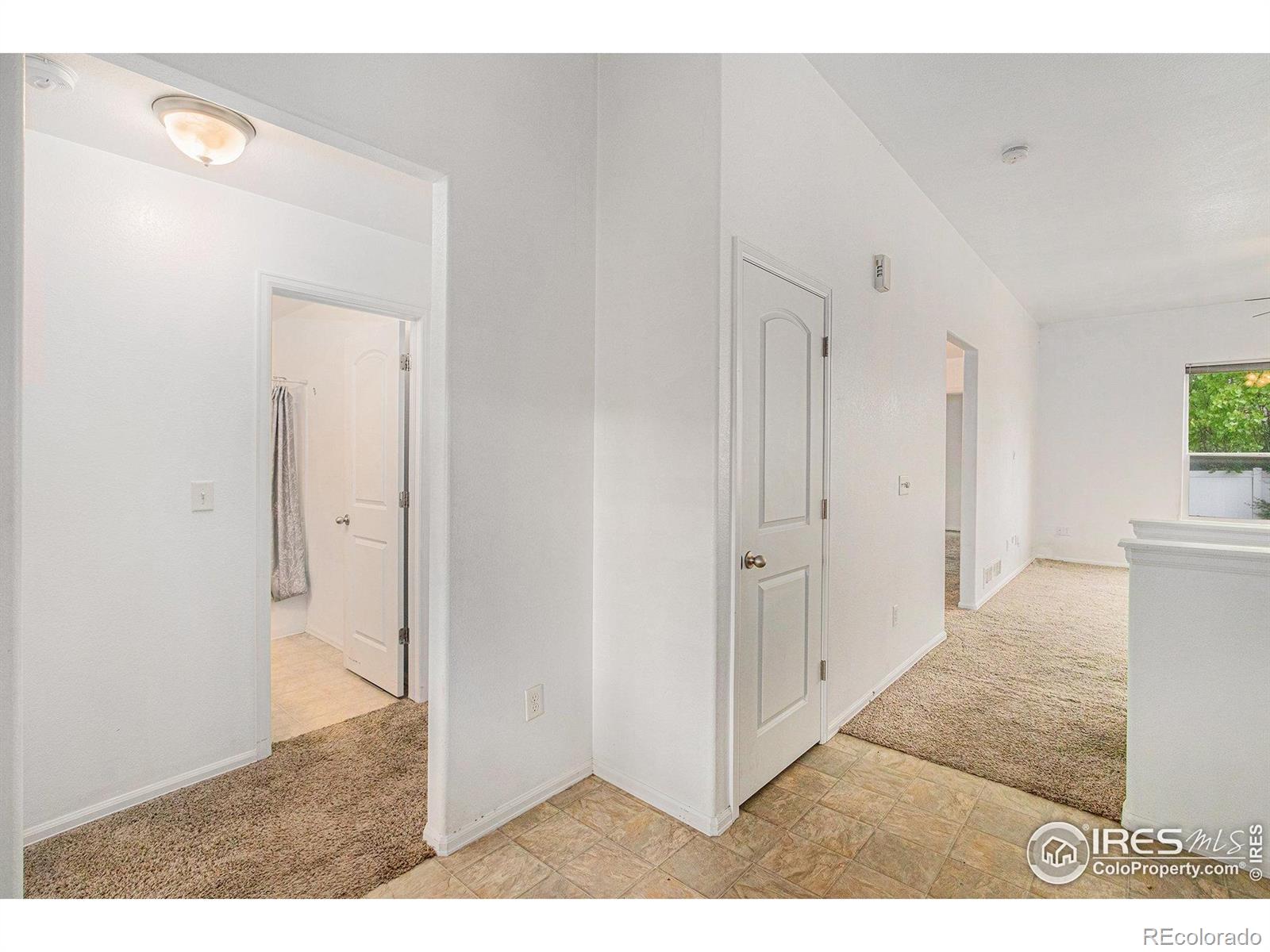 MLS Image #4 for 6925  loudon street,wellington, Colorado