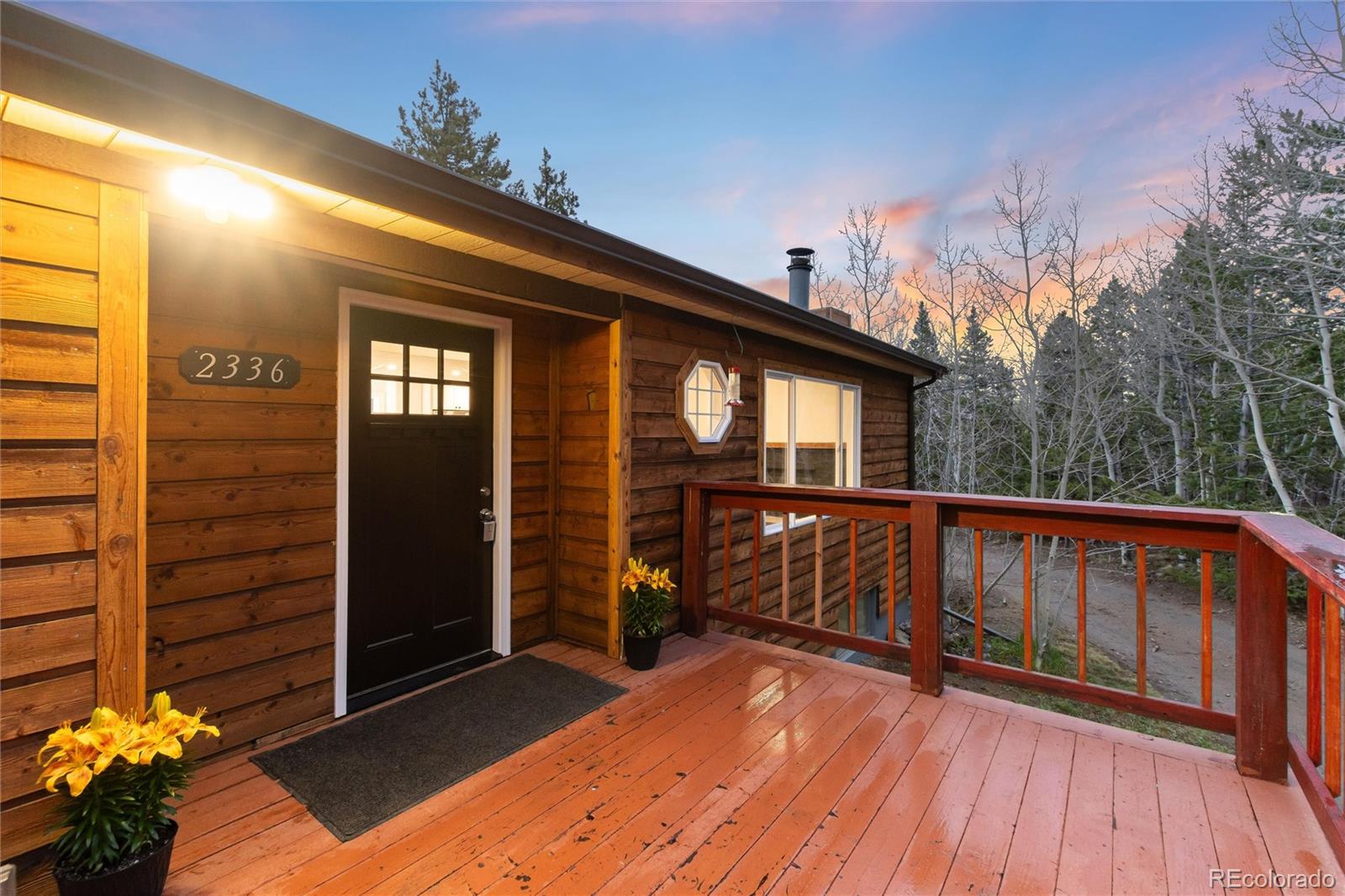MLS Image #3 for 2336  bald mountain road,central city, Colorado