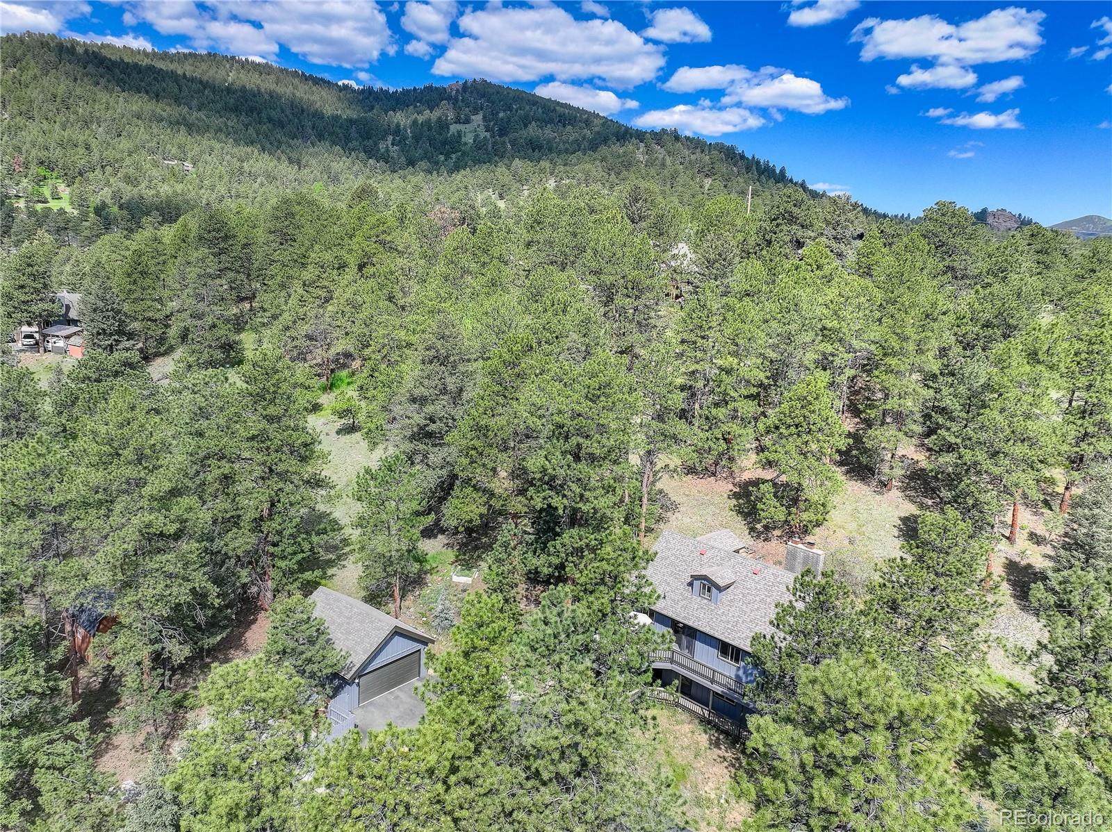 MLS Image #5 for 30221  marge lane,evergreen, Colorado
