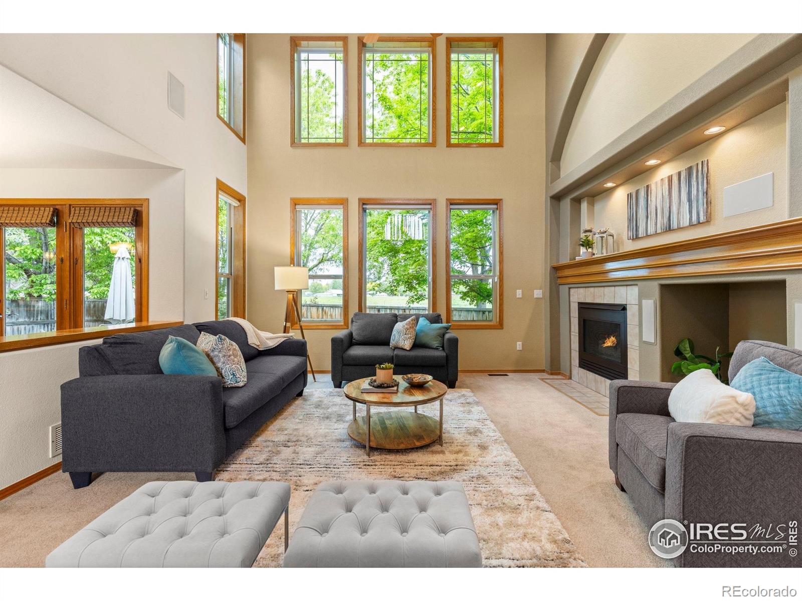 MLS Image #12 for 1401  clover creek drive,longmont, Colorado