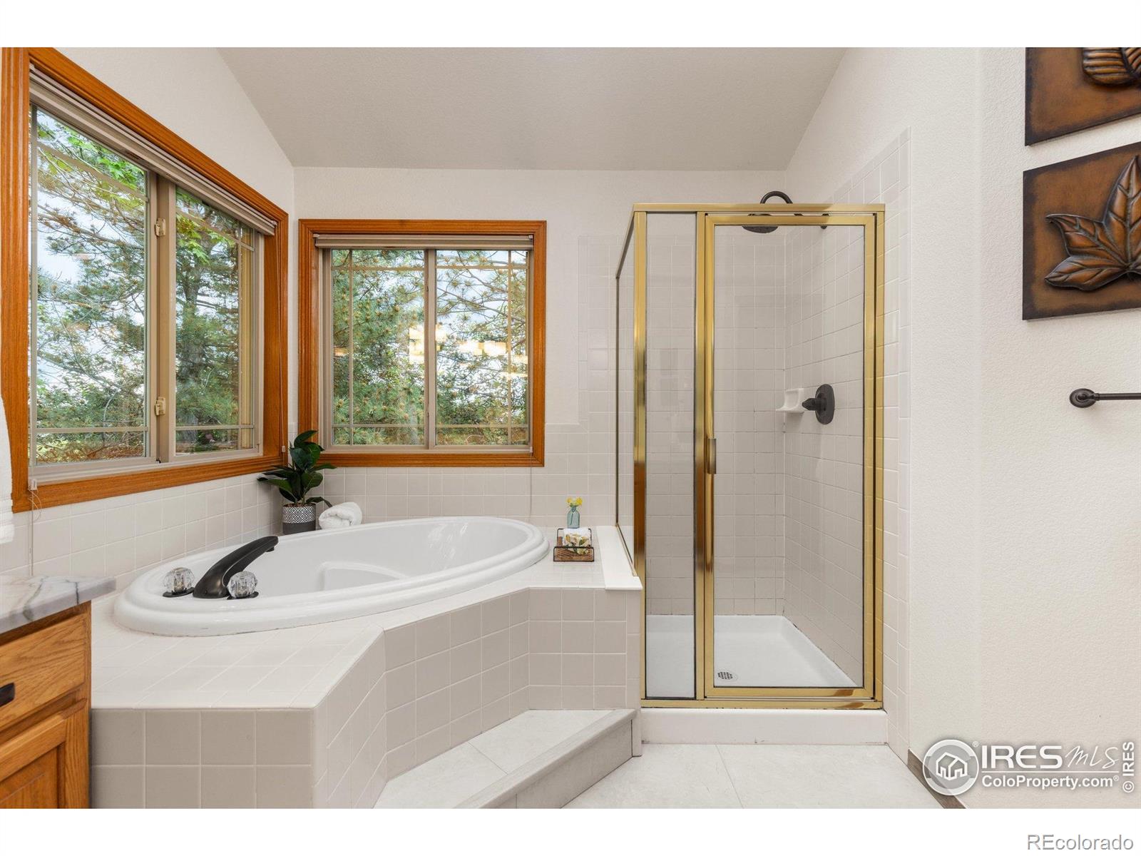 MLS Image #18 for 1401  clover creek drive,longmont, Colorado