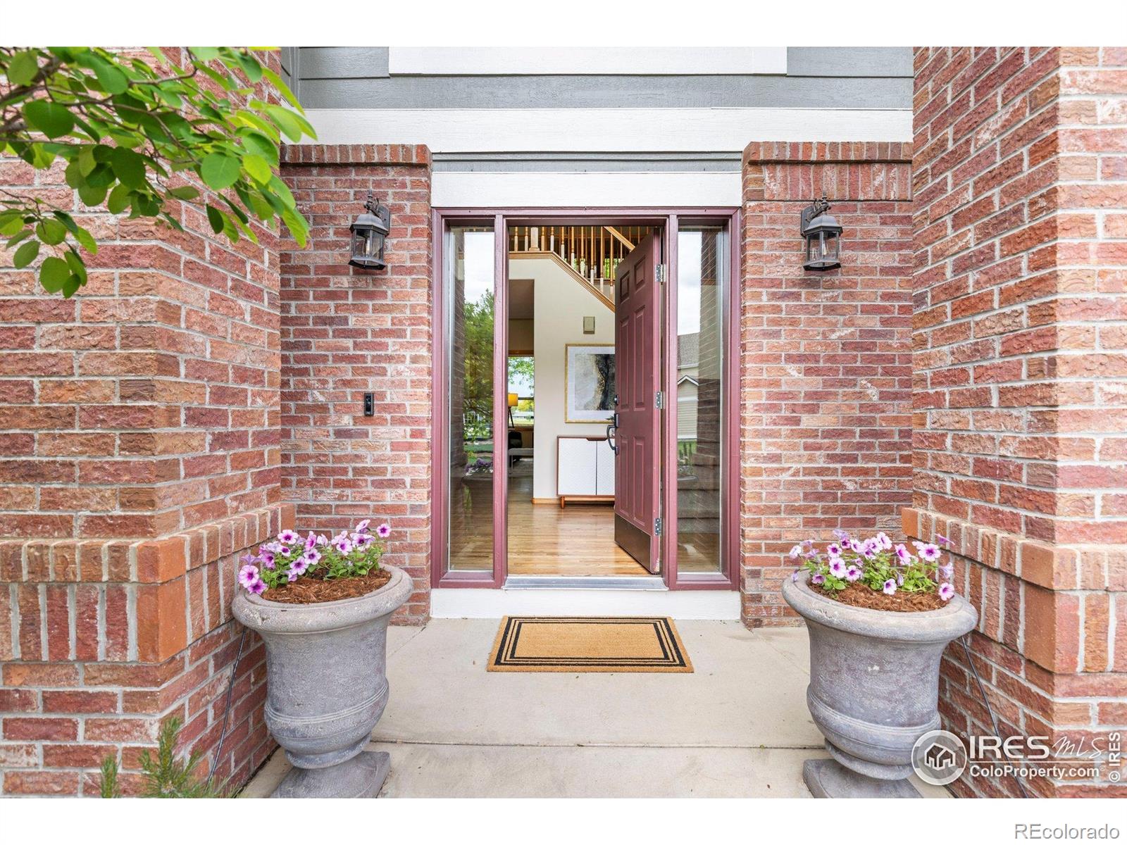MLS Image #3 for 1401  clover creek drive,longmont, Colorado