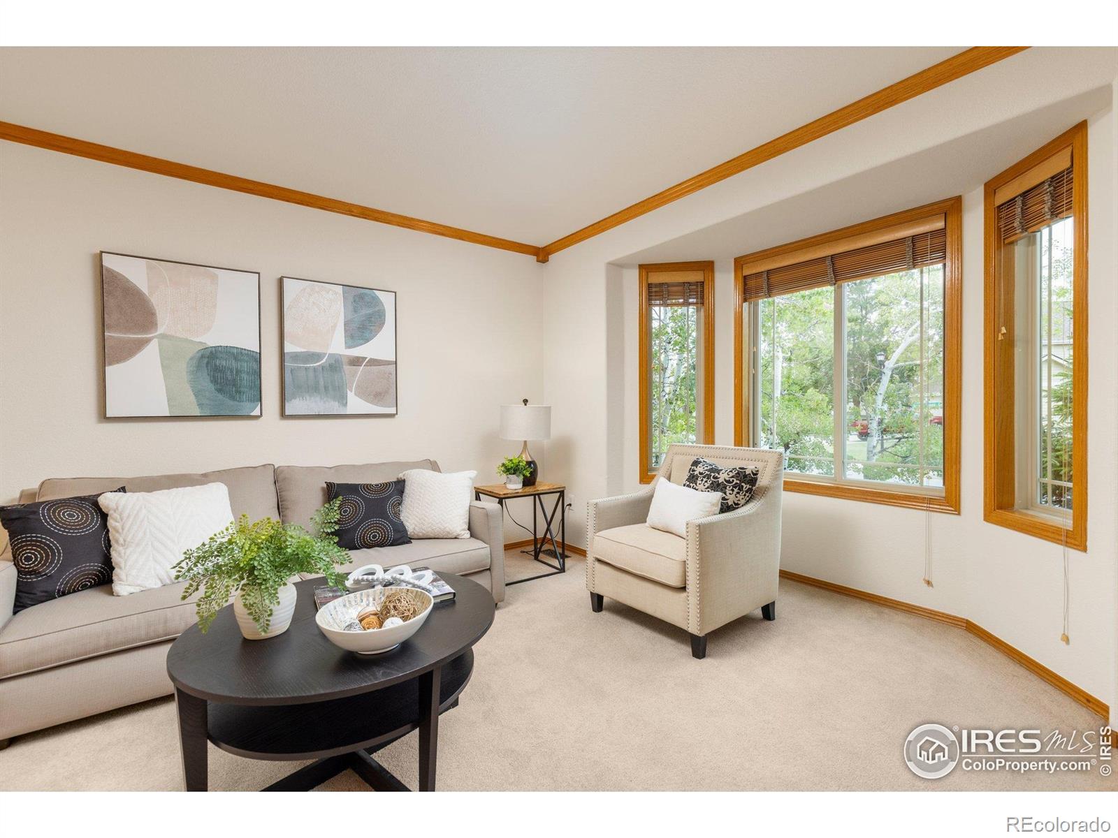MLS Image #7 for 1401  clover creek drive,longmont, Colorado