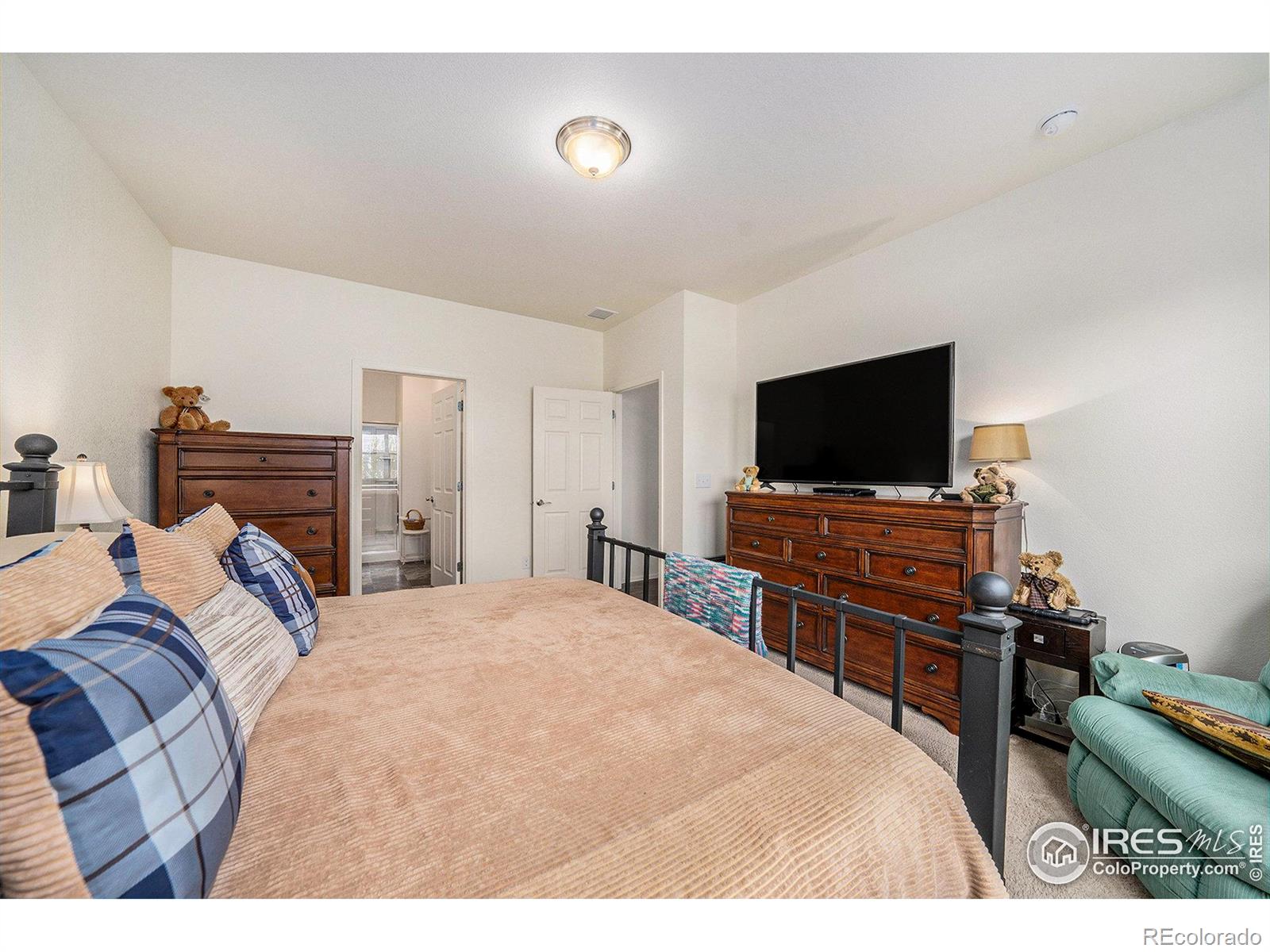 MLS Image #12 for 926  birchdale court,windsor, Colorado