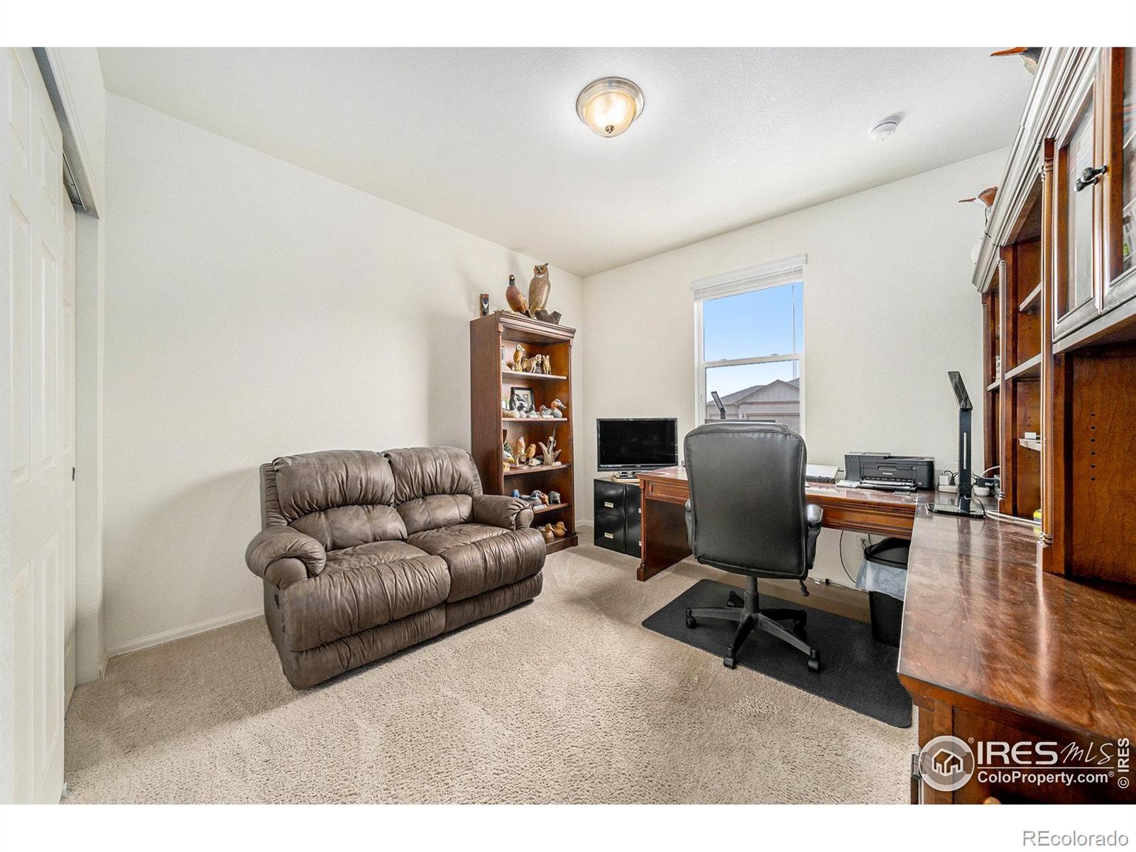 MLS Image #16 for 926  birchdale court,windsor, Colorado