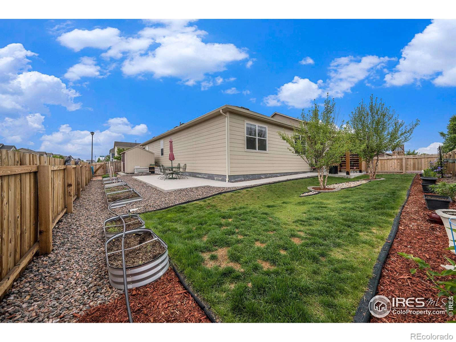 MLS Image #23 for 926  birchdale court,windsor, Colorado