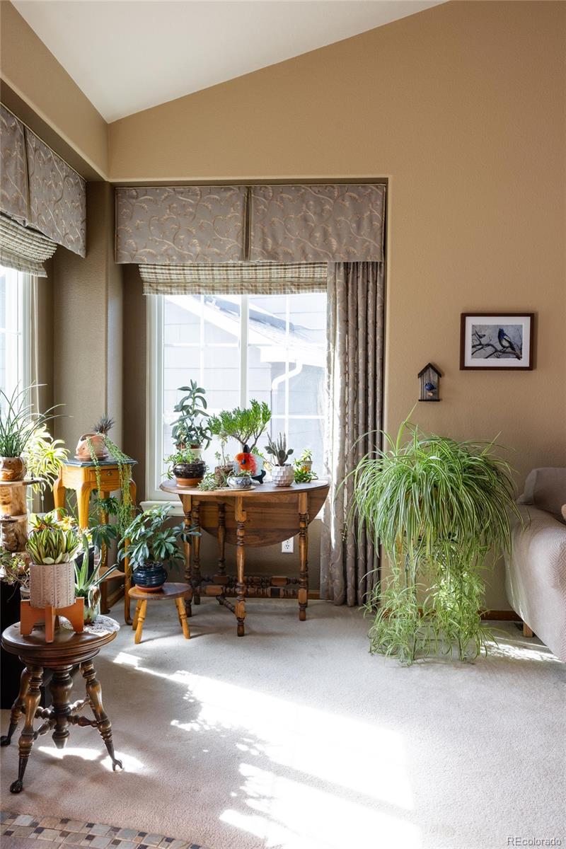 MLS Image #12 for 10218  woodrose court,highlands ranch, Colorado
