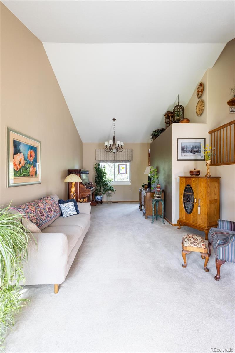 MLS Image #16 for 10218  woodrose court,highlands ranch, Colorado