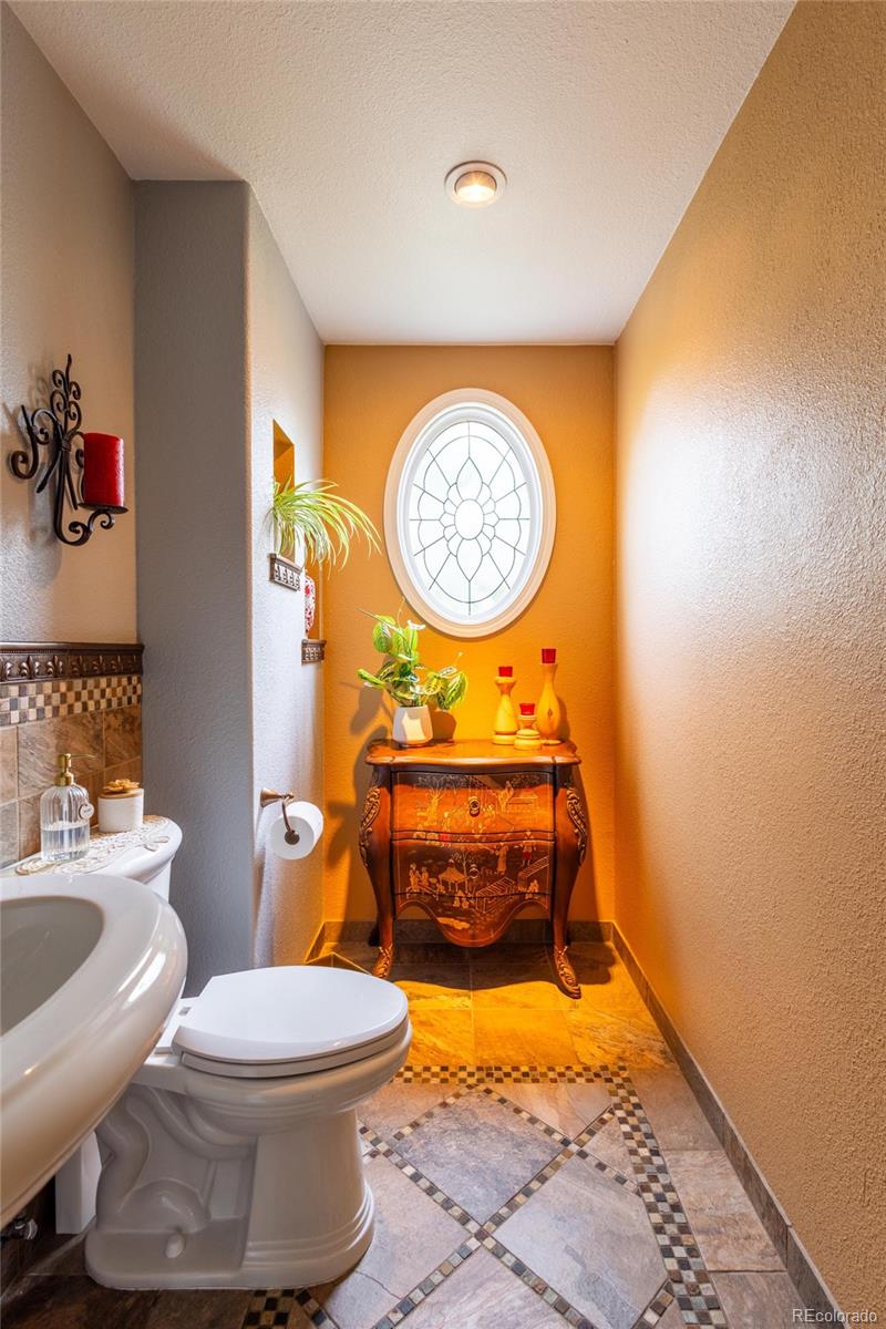 MLS Image #21 for 10218  woodrose court,highlands ranch, Colorado