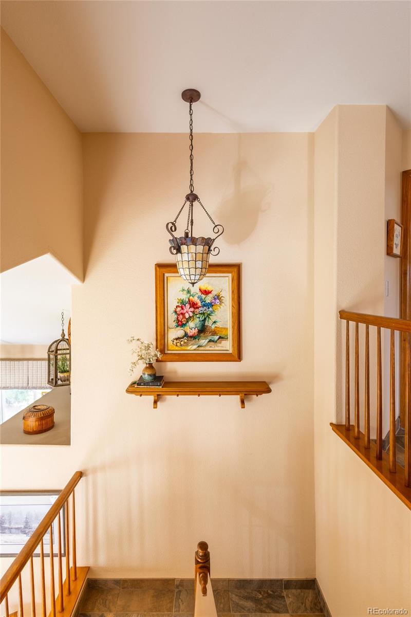 MLS Image #26 for 10218  woodrose court,highlands ranch, Colorado
